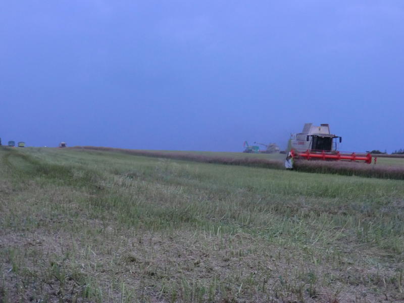 bilder/6_8_2013/CIMG8650.jpg