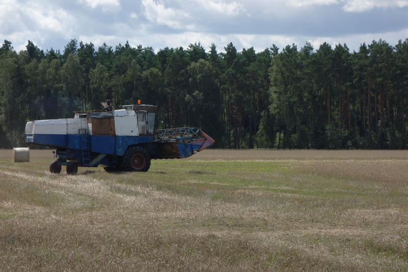 bilder/6_8_2017/DSC09572.jpg