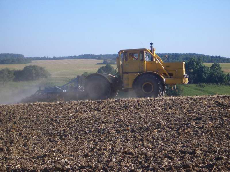 bilder/6_9_2005/k_700_6.jpg