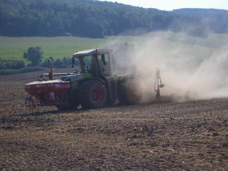 bilder/6_9_2005/xerion.jpg