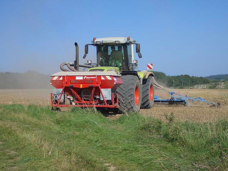 bilder/6_9_2005/xerion_11.jpg