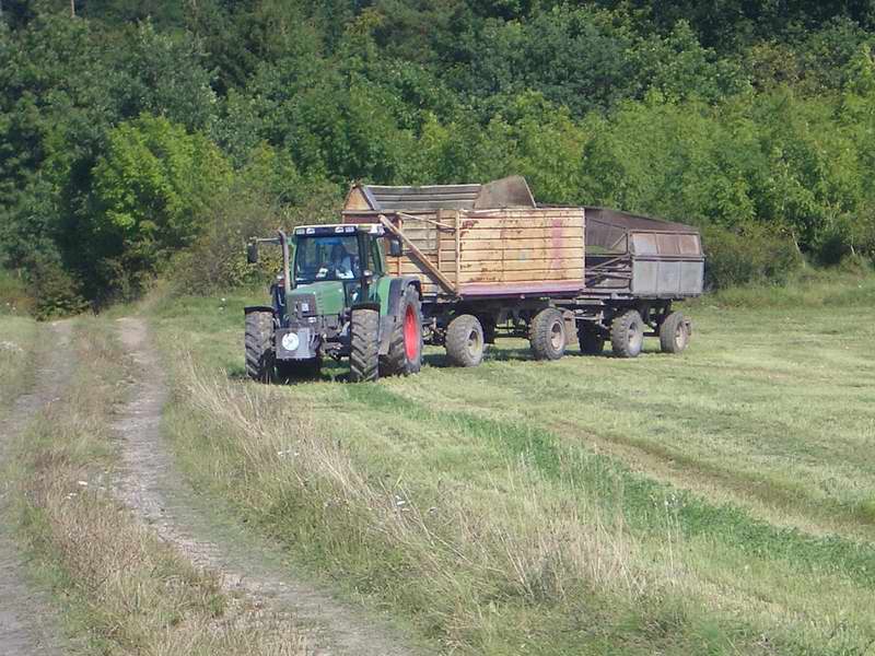 fendt.jpg