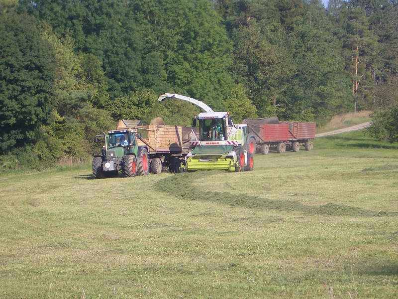 jaguar_2x_fendt_2.jpg