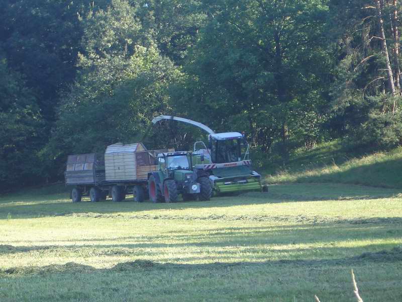 jaguar_fendt_10.jpg