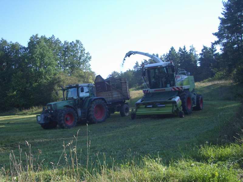jaguar_fendt_11.jpg