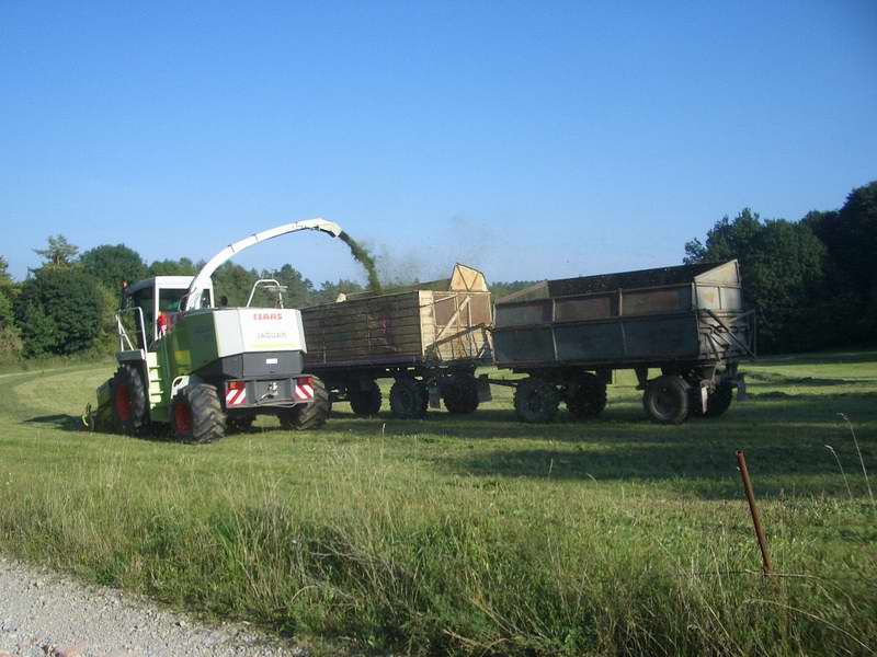 jaguar_fendt_12.jpg