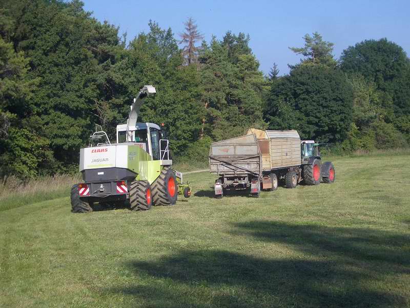 jaguar_fendt_14.jpg