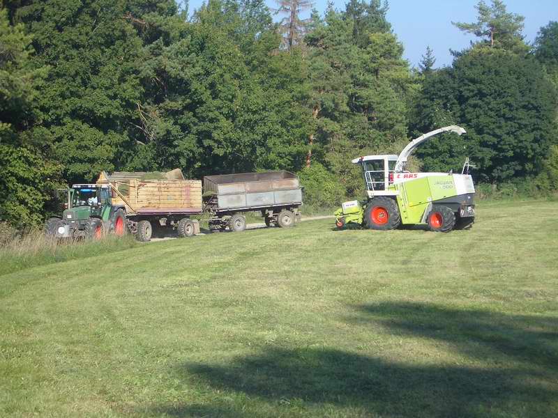 bilder/6_9_2005_2/jaguar_fendt_15.jpg