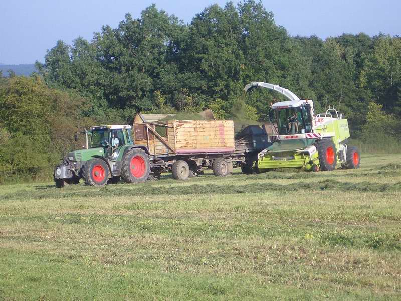 jaguar_fendt_18.jpg