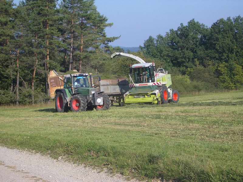 jaguar_fendt_19.jpg