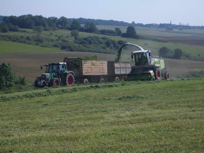 jaguar_fendt_3.jpg