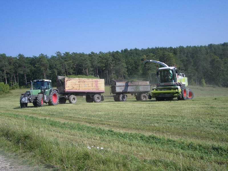 jaguar_fendt_5.jpg