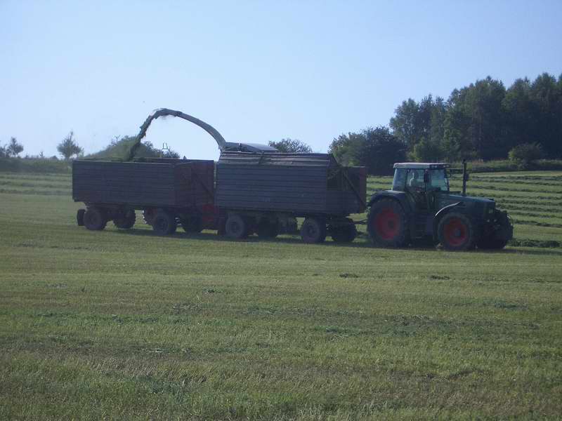 jaguar_fendt_8.jpg