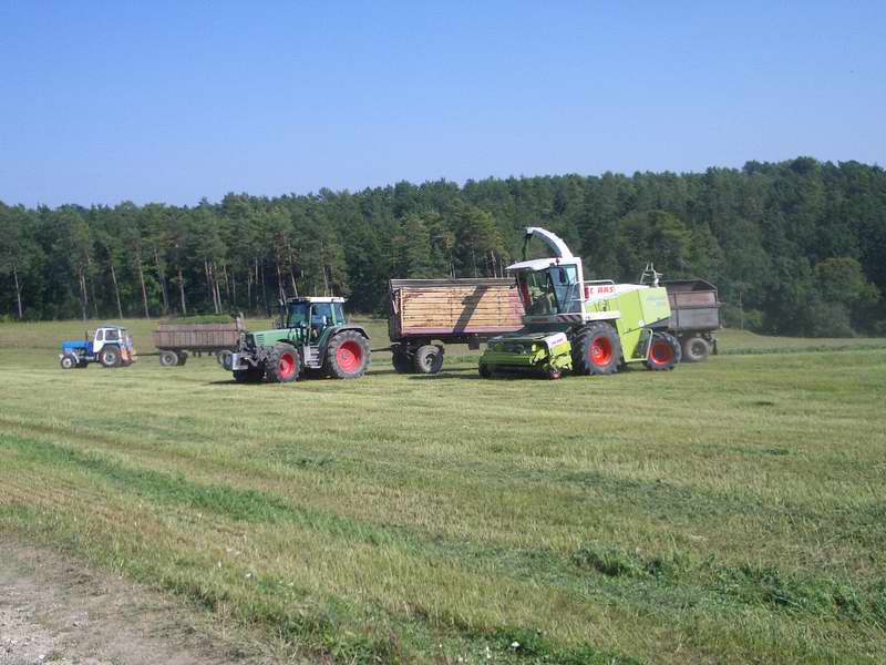 jaguar_fendt_zt_303_3.jpg