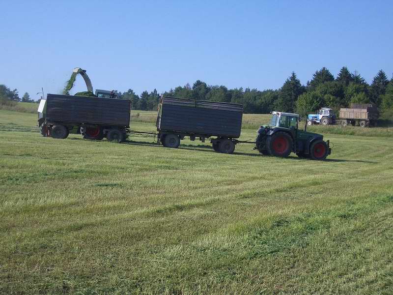 jaguar_fendt_zt_303_4.jpg