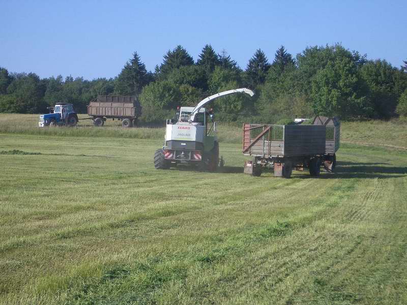 jaguar_fendt_zt_303_5.jpg
