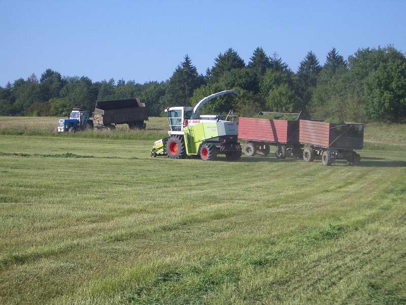 jaguar_fendt_zt_303_6.jpg