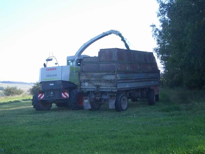 bilder/3_9_2011/CIMG4635.jpg