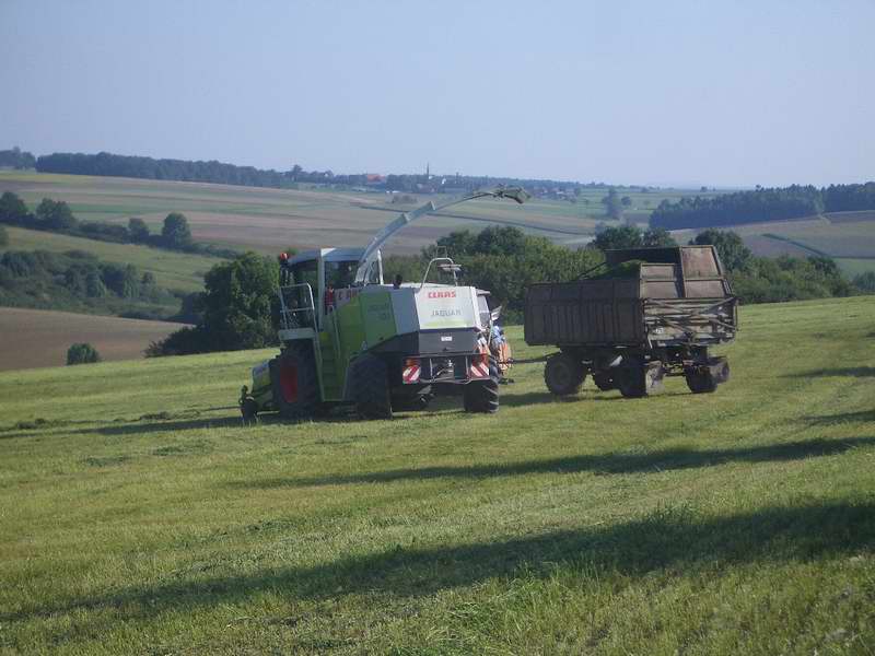 bilder/27_7_2012/CIMG9876.jpg