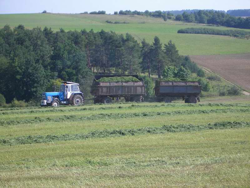 bilder/6_9_2005_2/zt_303.jpg