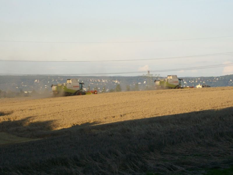 bilder/7_7_2003/zt_303_15.jpg