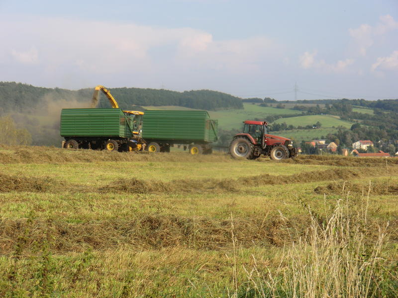 bilder/6_9_2014/CIMG7913.jpg