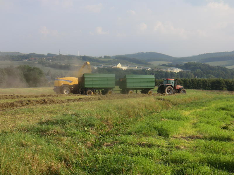 bilder/6_9_2014/CIMG7914.jpg