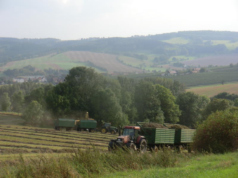 CIMG7921.jpg