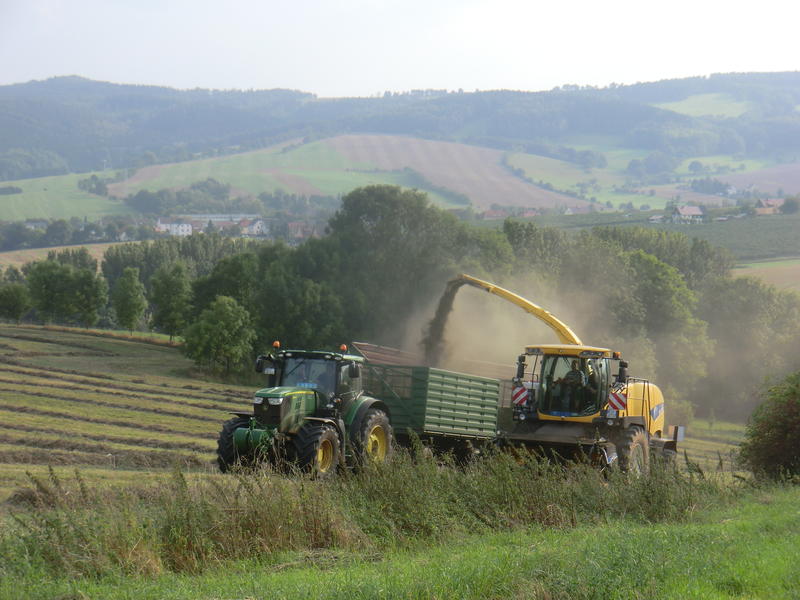 bilder/6_9_2014/CIMG7922.jpg