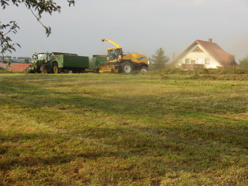 CIMG7928.jpg