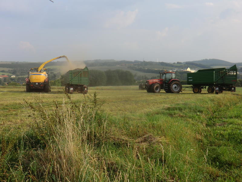 CIMG7937.jpg