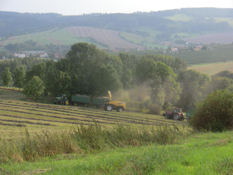 bilder/20_7_2011/CIMG3492.jpg