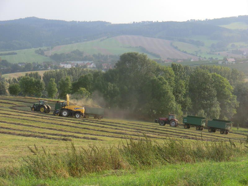 CIMG7940.jpg