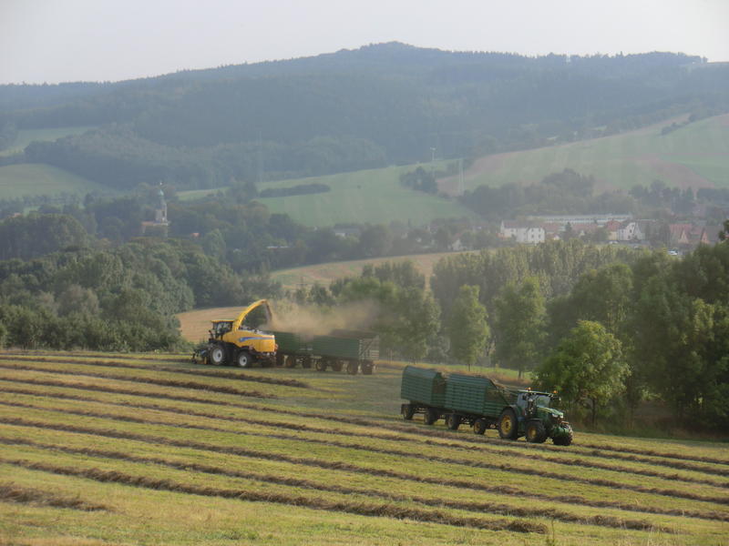 CIMG7942.jpg