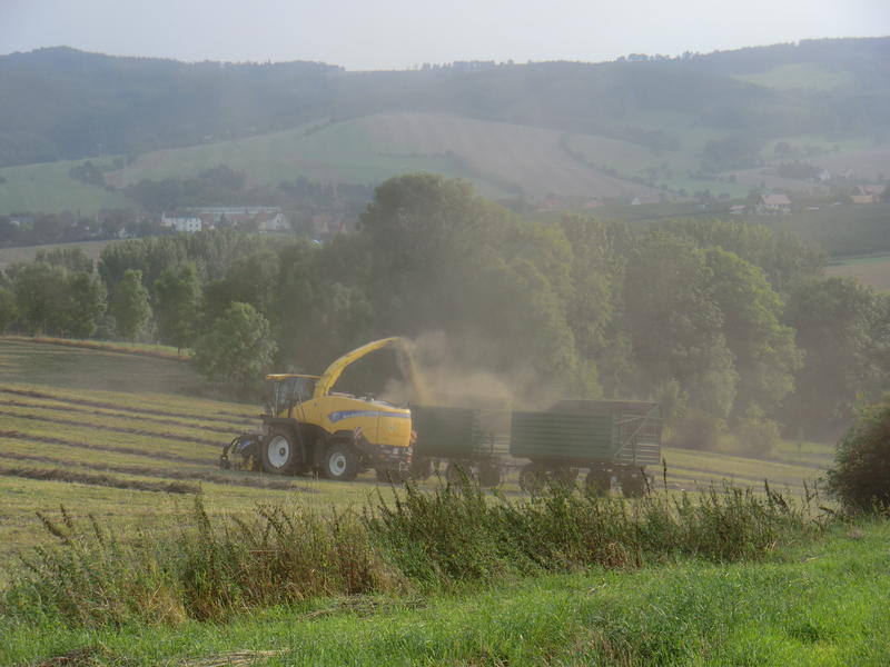bilder/6_9_2014/CIMG7945.jpg