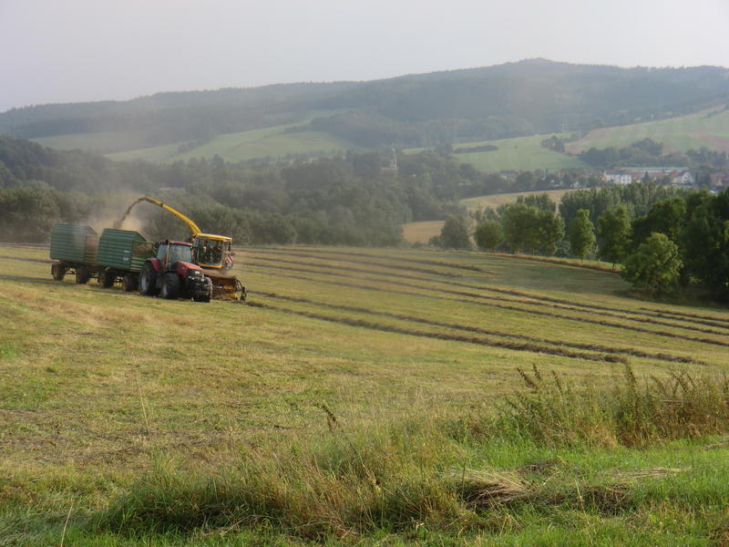 CIMG7946.jpg