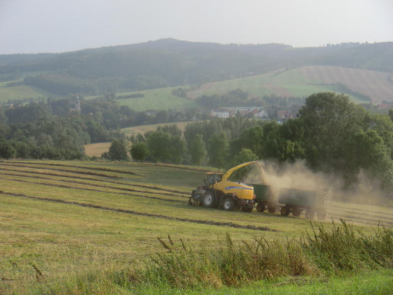 CIMG7947.jpg