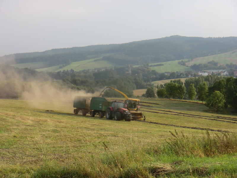 bilder/6_9_2014/CIMG7948.jpg
