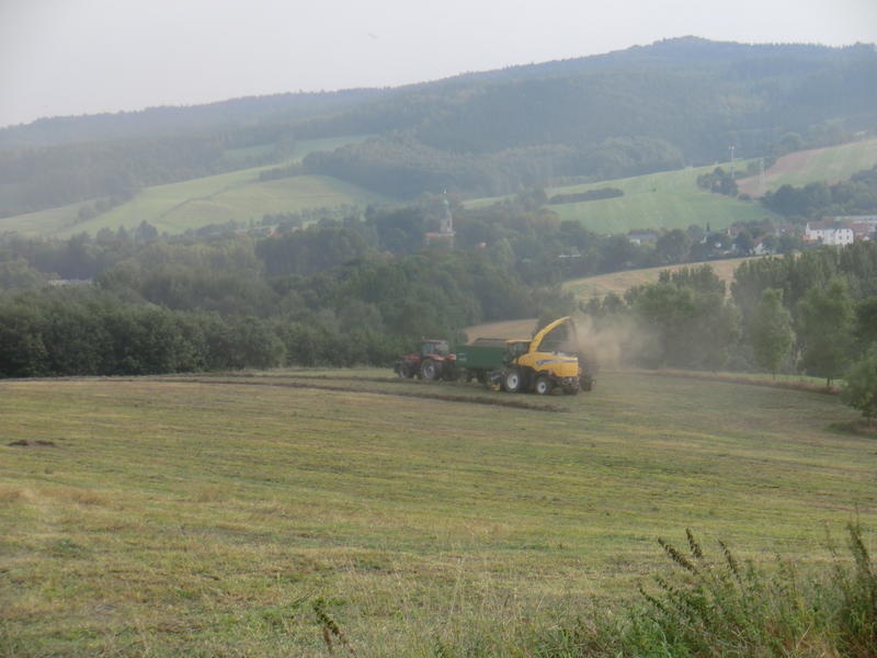 bilder/6_9_2014/CIMG7950.jpg