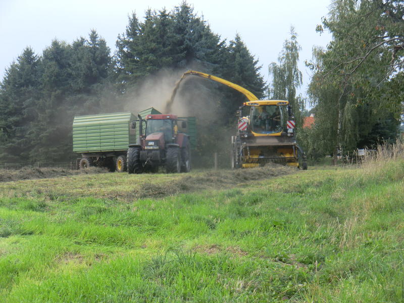 CIMG7955.jpg