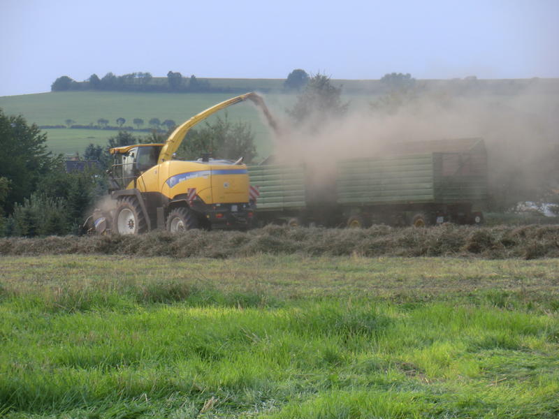 bilder/6_9_2014/CIMG7961.jpg