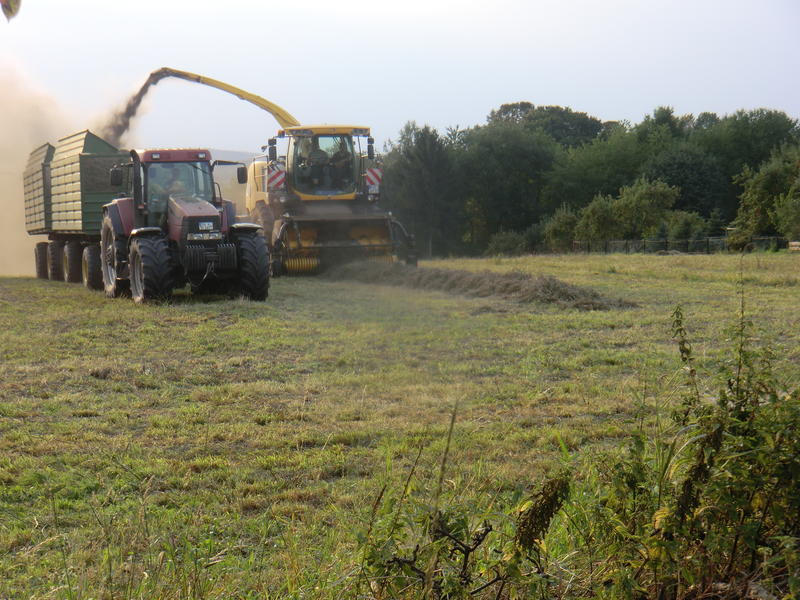 bilder/6_9_2014/CIMG7966.jpg