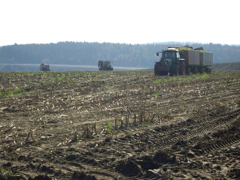 bilder/19_6_2005/zt_303_weidemann_6.jpg
