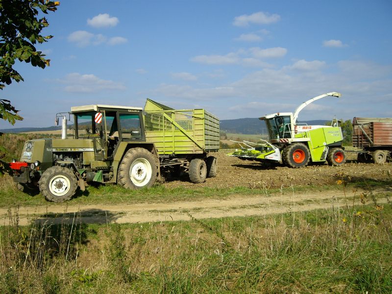 bilder/20_8_2003_1/terra_gator_7.jpg