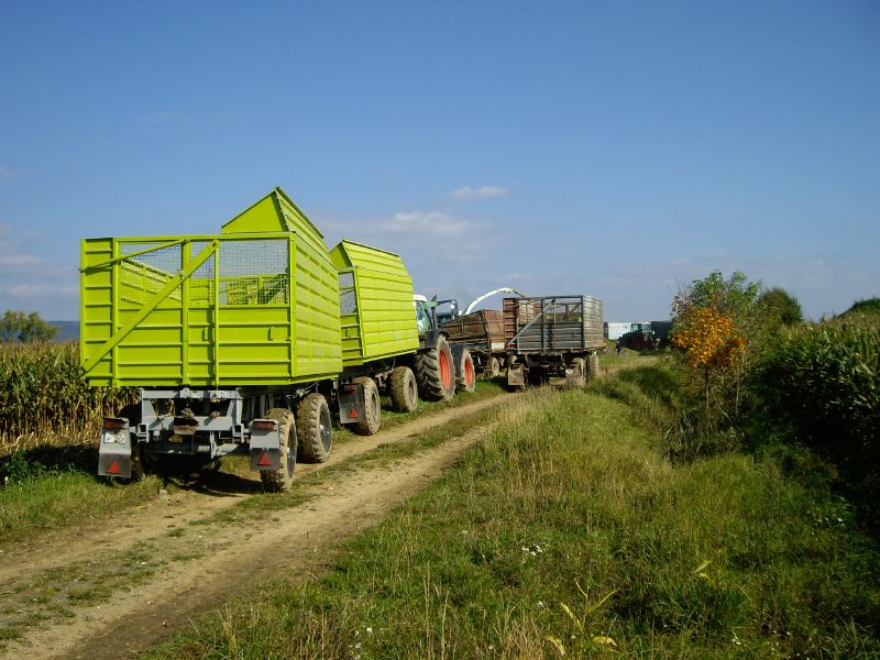 bilder/28_8_2005/lexion_2x_fendt_4.jpg