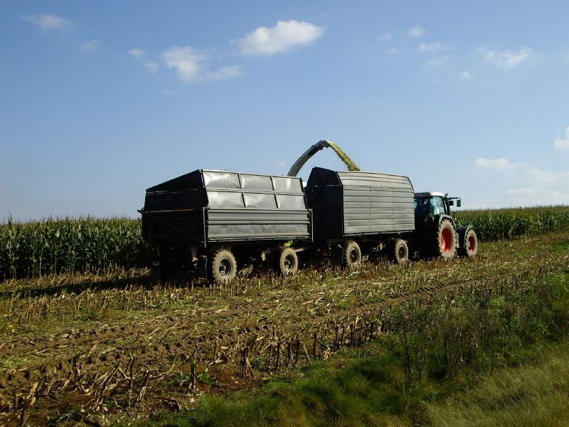 bilder/26_7_2005/fendt_818_5.jpg