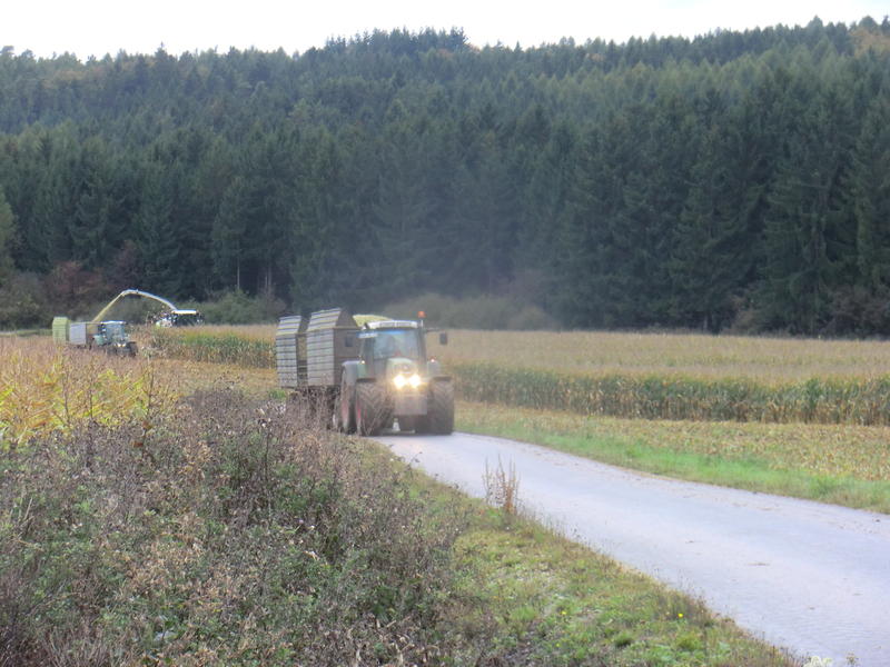 bilder/28_3_2020/DSC09575.jpg