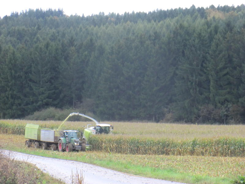 bilder/7_10_2014/CIMG8240.jpg