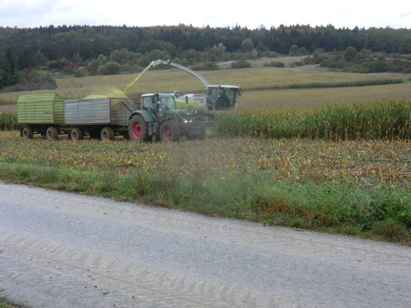 bilder/27_5_2017/DSC08510.jpg