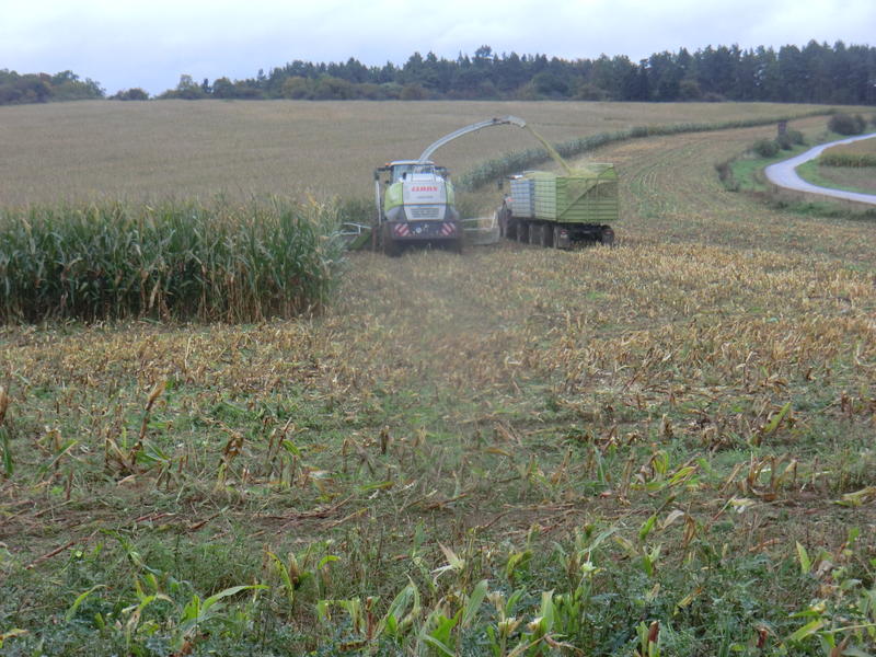 bilder/7_10_2014/CIMG8248.jpg